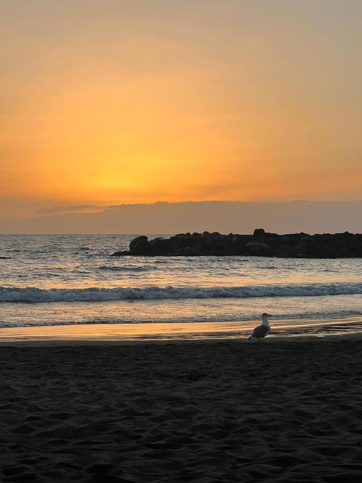Apartamento En Primera Linea De Playa, Centrico, Tranquilo Playa de las Americas  Bagian luar foto